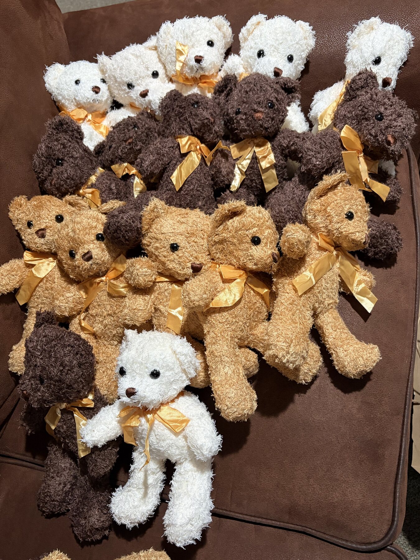 The teddy bears selected for the Capes of Comfort project before capes were added